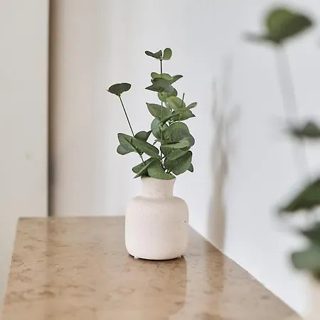 The Winter, Netflix, Downtown, Quiet & Comfortable