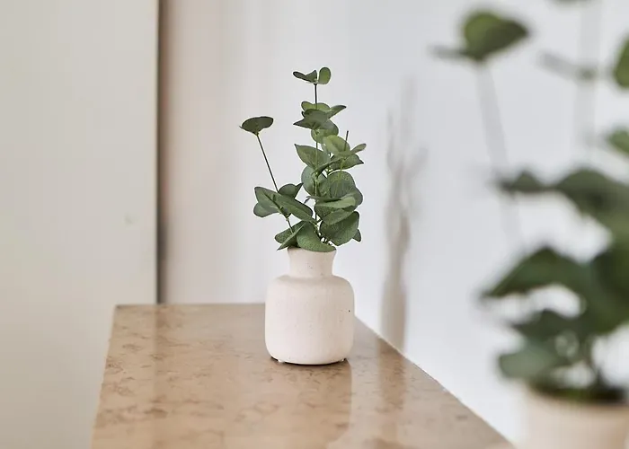 The Winter, Netflix, Downtown, Quiet & Comfortable